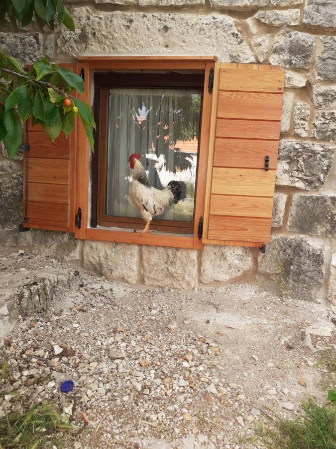 Patakun Holiday Home For 5, With Heated Pool Lecevica 外观 照片