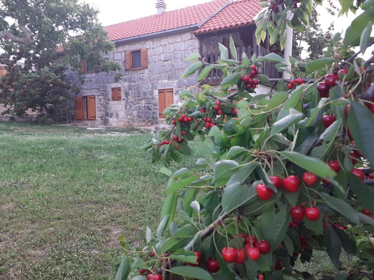 Patakun Holiday Home For 5, With Heated Pool Lecevica 外观 照片